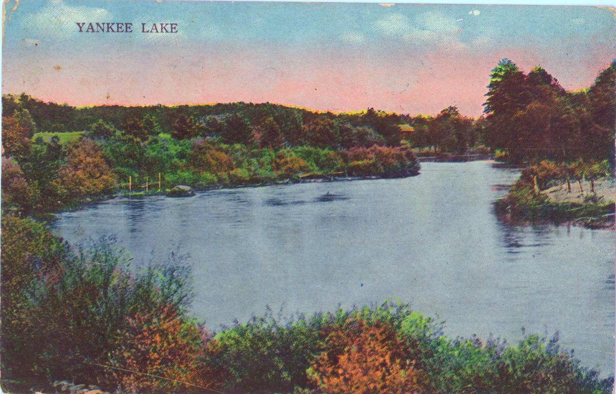 Gottlieb (230 items)