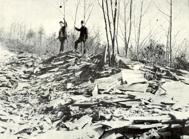 Bresnan  001 (Souvenir Book Page 34)