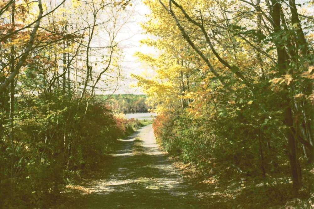 Dawkins 015   Causeway from Conklin's